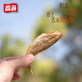 鱼类零食;水产干货类;鸭肉零食