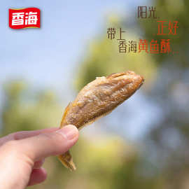 香海食品 香酥小黄鱼即食小鱼干 酥脆 孕妇儿童零食 整箱批发代发