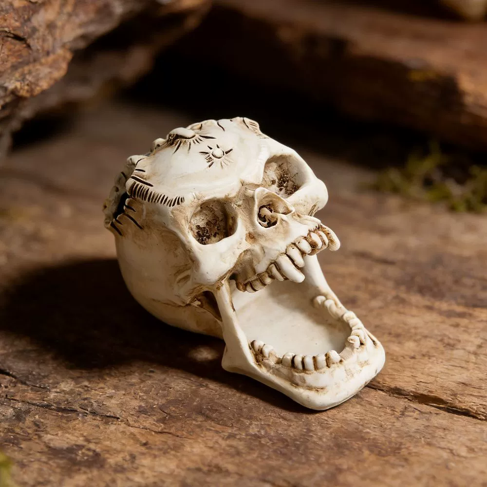 Fangs Skull Storage MH18059, Resin Decorative Skull Organizer 8×13×10 cm for Jewelry & Makeup