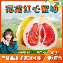 【严选】福建红心蜜柚 5斤礼盒红肉蜜柚当季时令红心柚非三红柚子
