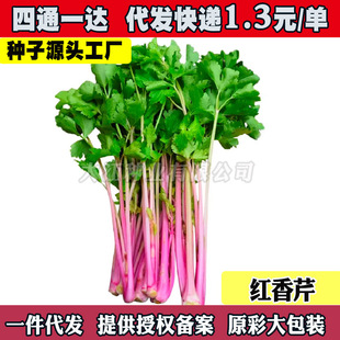 �����������۷N�����¼t�۲��������ļ�����ͥ�̨���������߲���