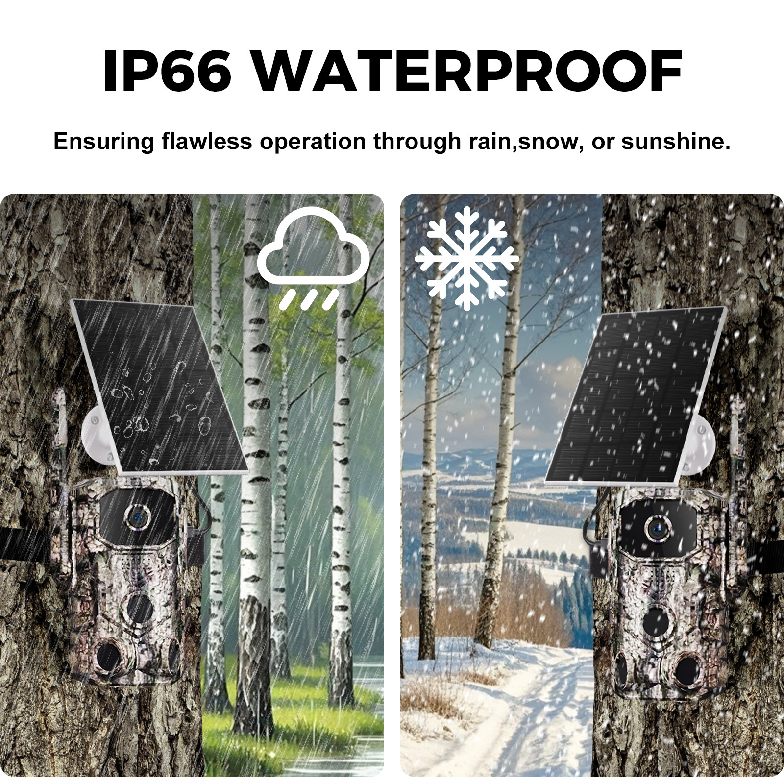 Cámara de Caza y Rastreo de Fauna WiFi de ABS Impermeable Infrarroja para Exteriores
