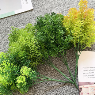 Gֲ7̦\ˮֲ쾰b^BCȦȦl