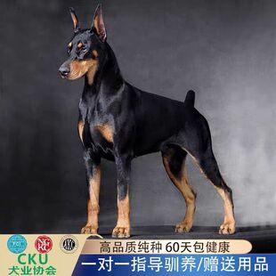 ���eȮ��Ȯ���w�����pѪ�y�������N��ϵ��ϵ����Ȯ��ë�Ԛ��o�lȮ