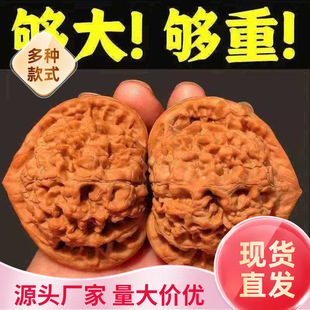 �����Һ˰�������y���ñ�����Ǫ{���^���뻢�^Ұ������Ҿ��֌�