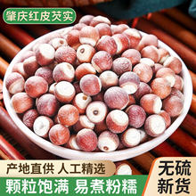 �͌���؛500g��؛��Ѭ���͌�Ƿ���V�|�ؑc�u�^�״Č����мt��޲��