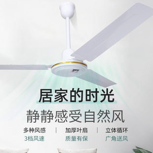 ���l��&middot;�ĵ����w����ʽ���I��ȏS����L��׃�l������Ҽ����L��