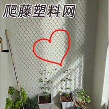 家用厚大孔塑胶网植物爬藤网格网片花墙包水管绿植爬藤塑料网