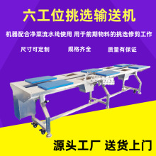 现货款六工位八工位挑选输送工作台 商用果蔬加工生产流水线设备