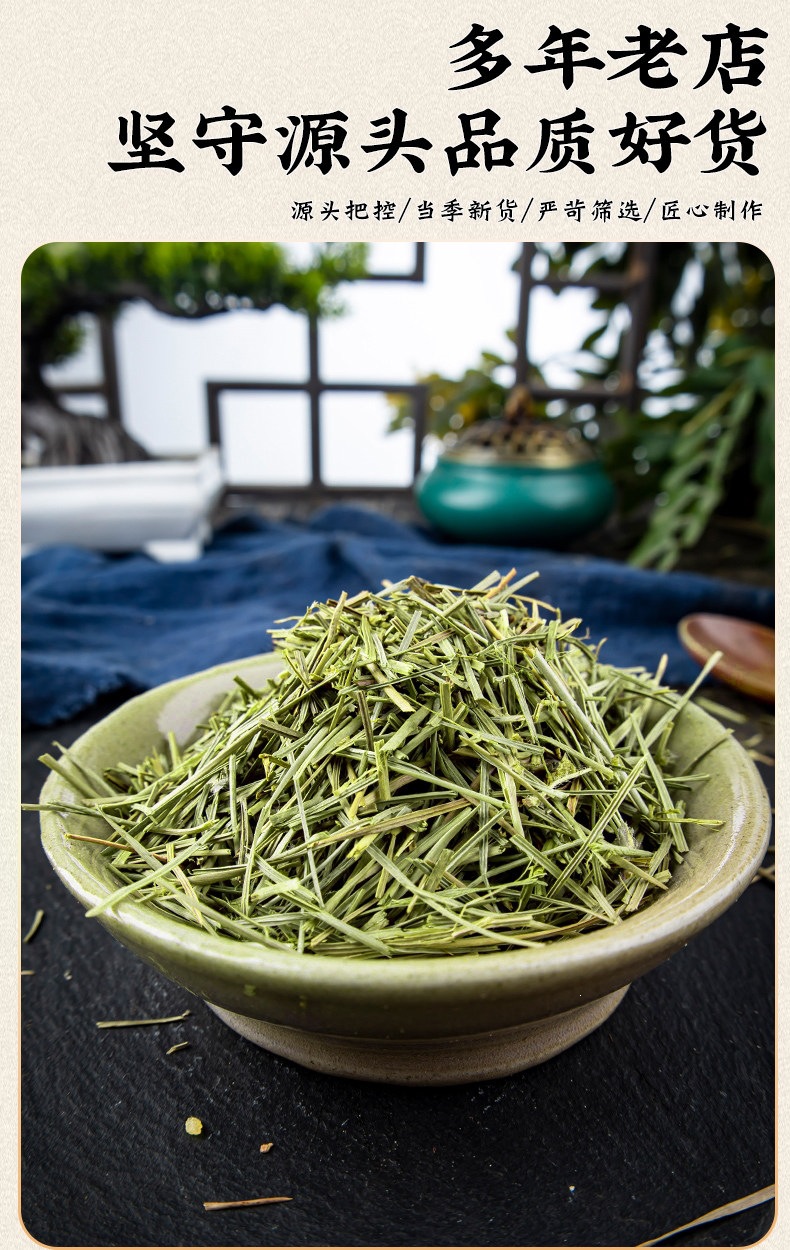 Dried Pine Needle Tea Song Zhen 500g Loose Herbal Tea for Daily Infusions quality and texture