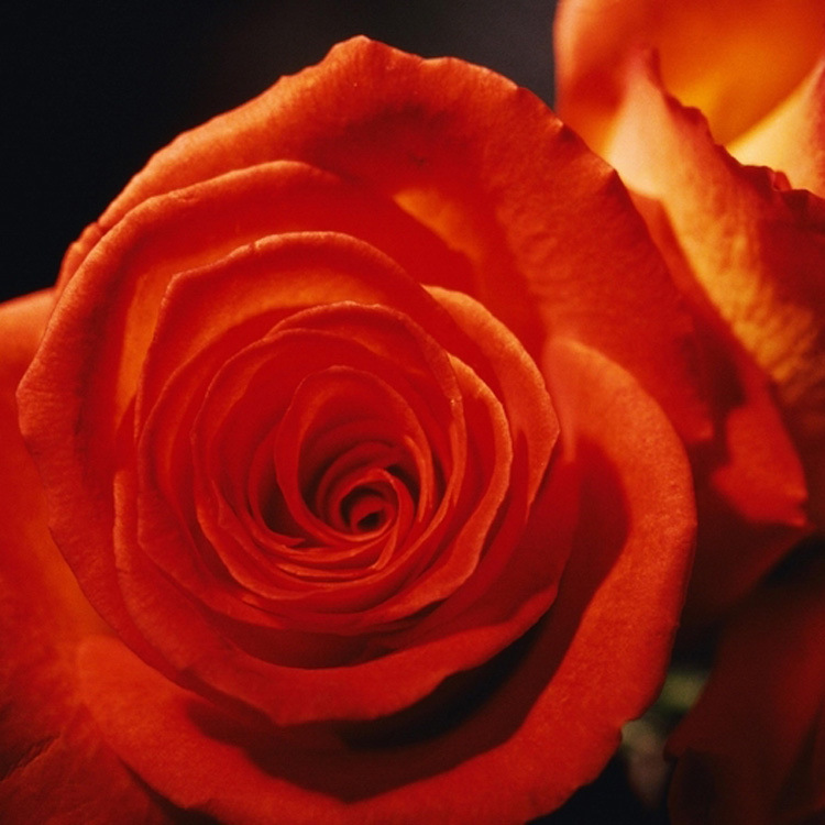 õ���㾫��ϴ��ˮ�㾫����ԡ¶�㾫��ϴ��Һ�㾫