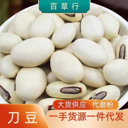 白刀豆  红刀豆  刀豆粉  白刀豆 刀豆皮 现货大货批发  代客打粉