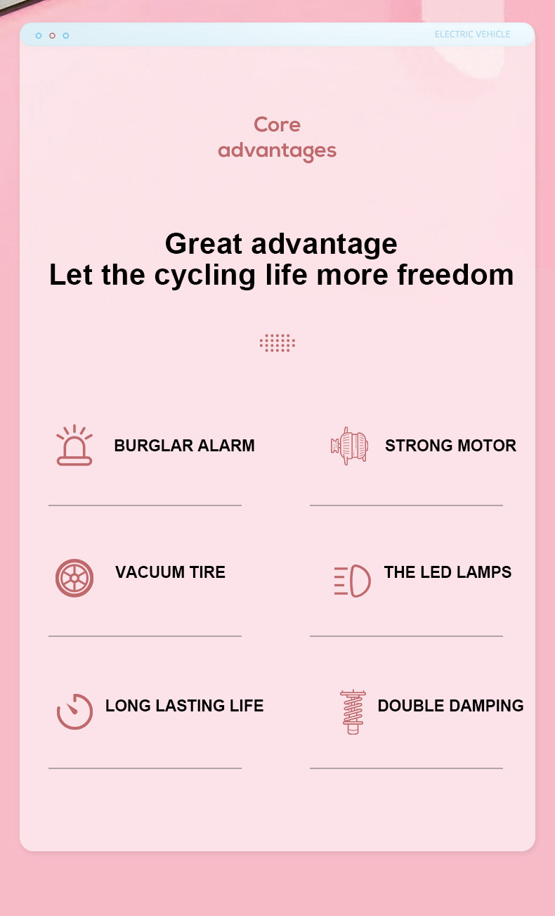 Custom Electric Bicycle, New National Standard, 48V 60V