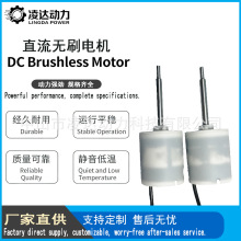 Brushless Submersible Motor for Wet & Underwater Environment