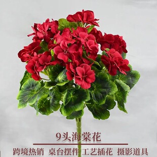 �羳���l���滨���ë��9�^���Ļ������Ӽ��b����[������ٻ�