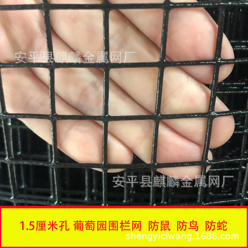 1.5浸塑电焊网防鼠小孔养殖围栏网荷兰网养鸡网 果园围栏网小网格
