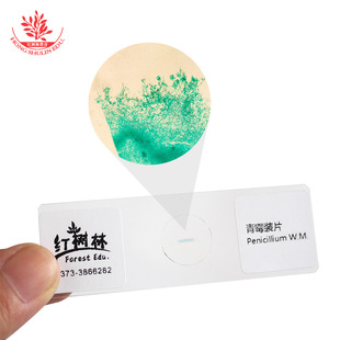 �̌W��Ƭ�߽�Ʒ�|������ù��ù�ڸ�ù��ĸ���ΑB�����@΢�R��Ƭ