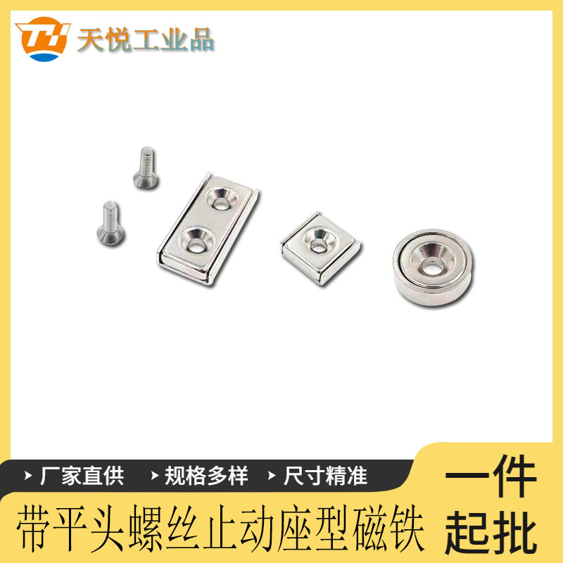 HXCC/HXCR/HXCS/HXCCH8/10/12/15/20/25带座磁铁 平头螺栓止动型