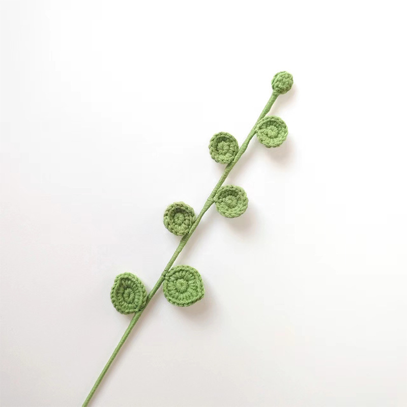 Producto terminado-Hoja redonda de eucalipto gris verde