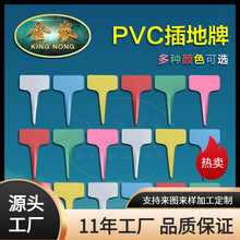 金农PVC塑料园艺标签 插地花卉标签花卉标牌绿植多肉标签兰花