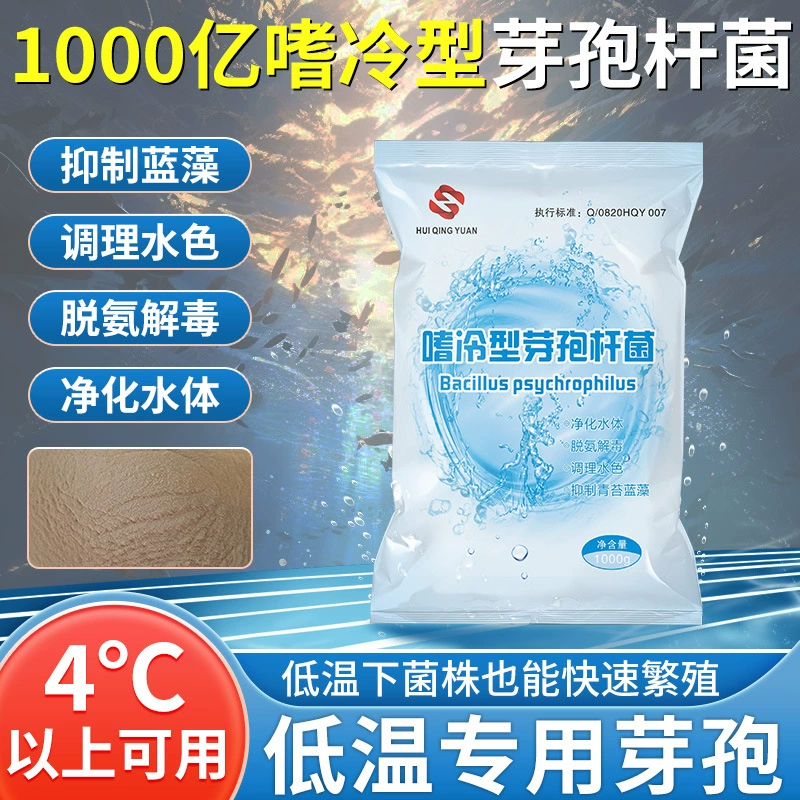 Huiqingyuan 1 кг психрофильная очистка аквакультуры качество воды 100 миллиардов низкотемпературный Специальный состав Bacillus subtilis