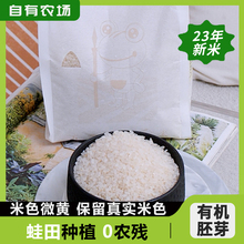 ������ЙC��ѿ��ȫ��I�B��ʳ����ܛŴ��������������5���峣��