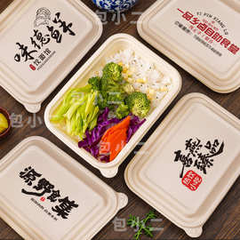 玉米淀粉餐盒可降解轻食长方形一次性外卖打包盒食品级快餐盒批发