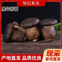 ���r��ţ�ξ�ʳ��Ұ�����ڼt���SҊ��������ʳ���r�����F؛���l