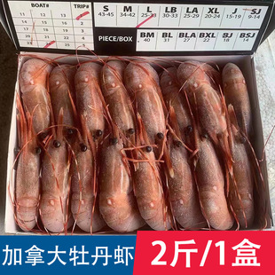 ĵ���r ���ô�ĵ���r25-33Ҏ��2��/1�� ���ϴ����r��������O���r