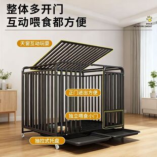 ���\�Ӵ���Ȯ����Ȯ���\�����������҃����ë�����������ﹷ���\