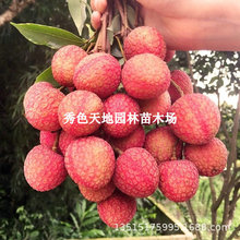 ��֦�������F��������G�ᭇ�X�SŴ��֦�羮���t�����������~