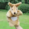 Kangaroo