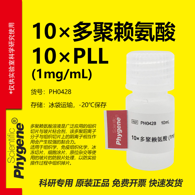 PH0428 10×多聚赖氨酸 1mg/mL 实验专用10mL 玻片粘合剂 PHYGENE