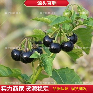 Ұ�������Ұ��ɽ���Ѻ������N�������Ѵ����＾�ļ�����ˮ���߲�