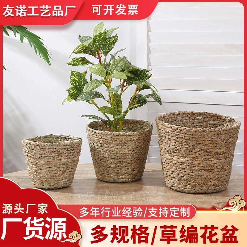 Каштан медведь обнимает ведро, плетет цветочные корзины, растения, горшечные травы, цветочные горшки, цветочные горшки, цветочные горшки