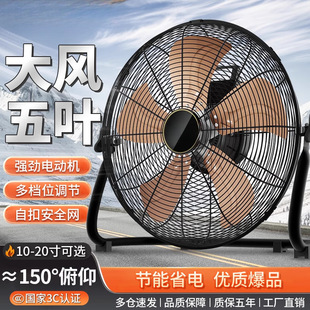 ŭLȹILȏȴȼ̨̨ʽſ