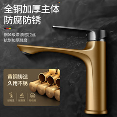 Cold and Hot Dedicated Water Faucet Full Copper Bathroom Sink Basin Countertop Sink Balcony Pool Home Faucet