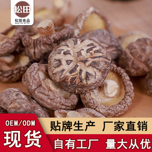 500gɢ�b��؛�������� ���_���軨�� �㹽�����S�ҬF؛ֱ�N���l