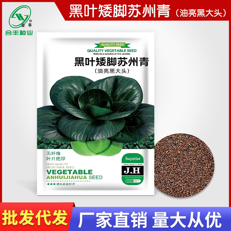 黑叶矮脚苏州青种子  青梗菜种籽小青菜油菜种孑黑大头蔬菜籽批发