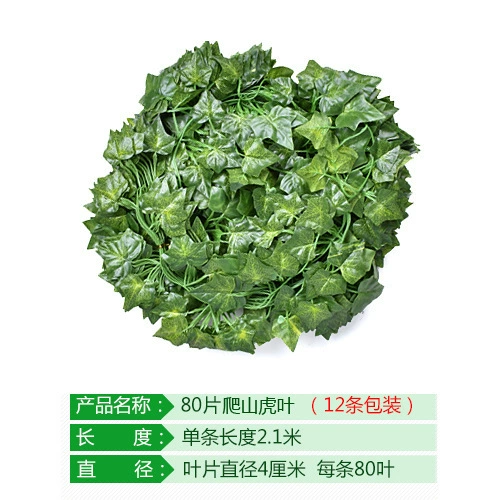 81 pieces of mountain climbing tiger leaves 1 pack (12 articles)