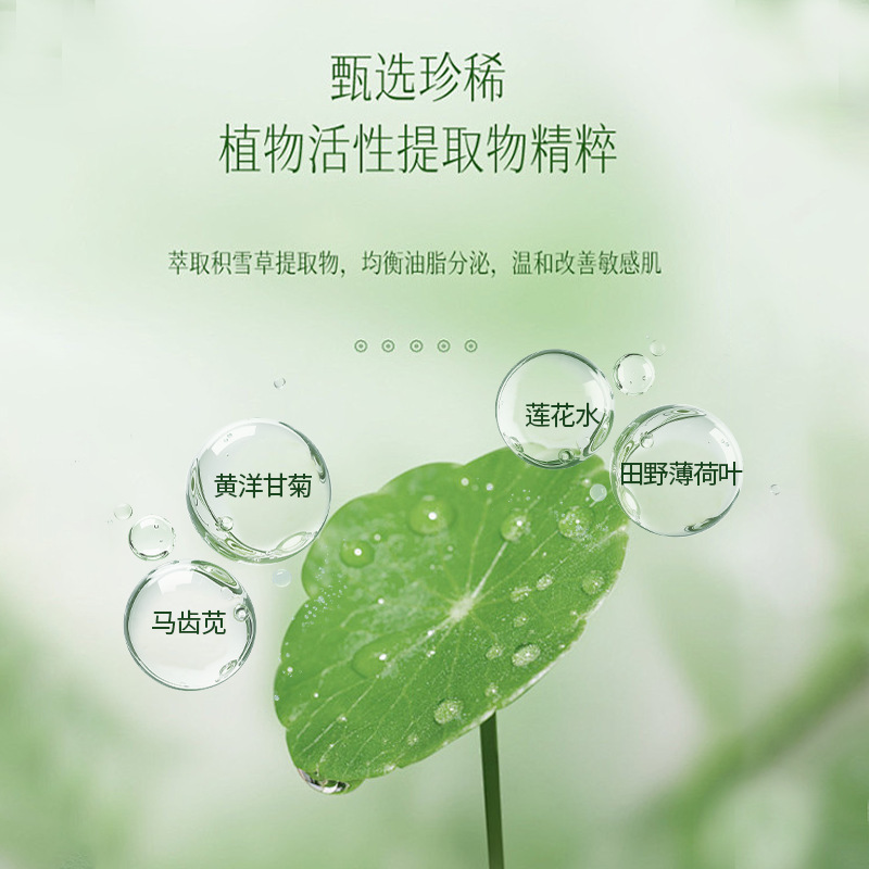 积雪草控油祛痘面膜熬夜粉刺保湿补水舒缓毛孔面膜批发美容院专供|undefined