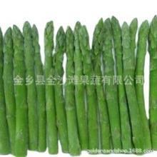 厂家供应速冻芦笋，质量保证，速冻芦笋 价格美丽 大量订购