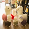 Alpaca