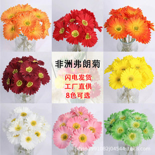 �羳temu ������޸��ʾ� PU�͏d�����b廨�Ƶ��쾰�zӰ�b�
