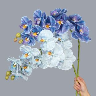 C9�����m�ٻ����滨�p�ݸ߼��б���߶˸ߙn�廨�����b�Ʒ������