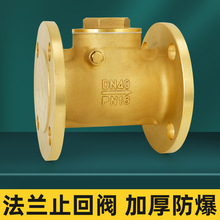 �S�~���mֹ���yDN40���̌�����ʽ�����yH44W-16Tdn100��ֹ�y���