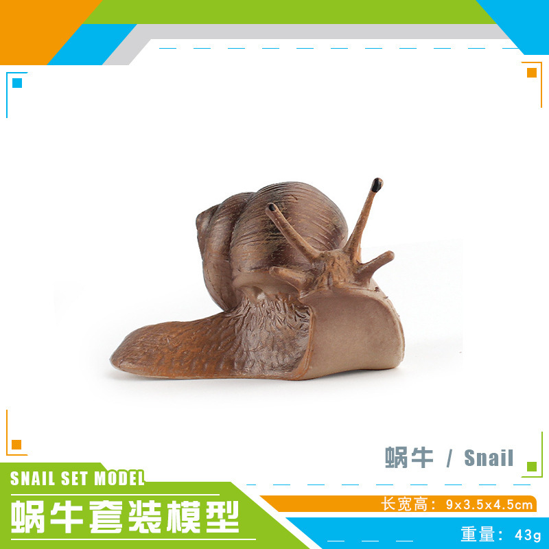 PL127-1658 Caracol 43g