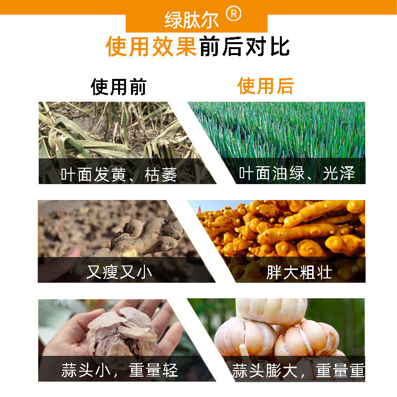 ネギとショウガのニンニクの専用の肥料の徐放肥料の粒のネギの小さいネギの黄色の葉の面のニラの肥料の有機肥料の四季は通用します|undefined