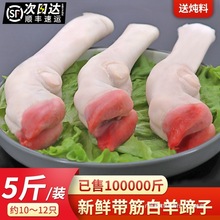 ���������r5�����������ֻצ�����^����������ʳ���������_��