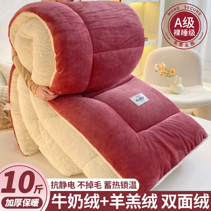 加厚羊羔绒毛毯2025新款冬季被子被芯沙发盖毯学生宿舍冬被春秋被